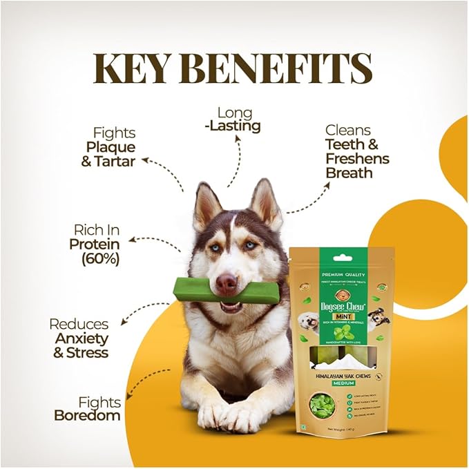 Dogsee Mint Flavor Himalayan Yak Chews for Dogs (Large - 4 Bars) | Aid Digestion | Dog Chews for Teeth Cleaning | Odorless Dog Treats | Rawhide Free | Long Lasting