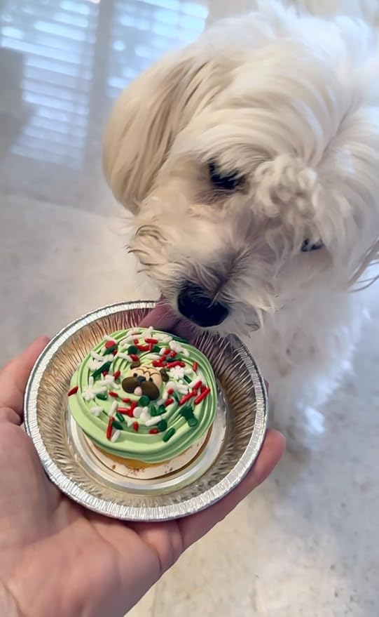 Dog Christmas Cake Treat