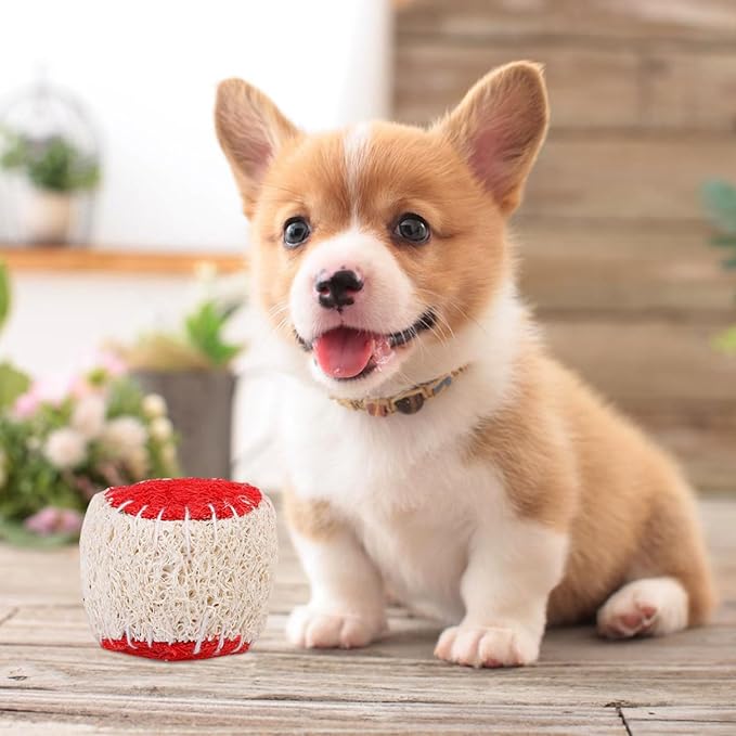 Toyvian 2pcs Natural Loofah Dog Tennis Balls Chew Sturdy Pet Training Supplies for Puppy and Adult Dogs Random Color