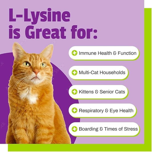 Pet Naturals Lysine for Cats, Chicken Flavor, 160 Chews - Immune and Respiratory Support for Cats - No Wheat or Corn - Vet Recommended