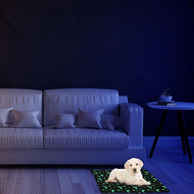Pet Winter Pad Luminous Dog Floor Pad Cat Warmth Mat Soft Polar Fleece 50x70cm Washable Pet Supply for Indoor Use