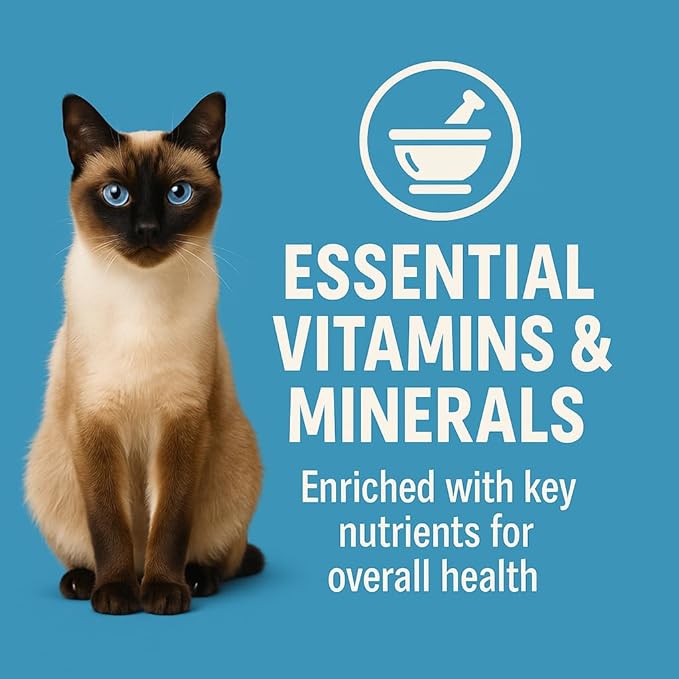 CountryMax Maggie and Duke’s Canned Cat Food – 14 oz – High-Protein, Real Meat, Wet Food for Adult Cats & Kittens (Case of 12 Cans, Savory Seafood)
