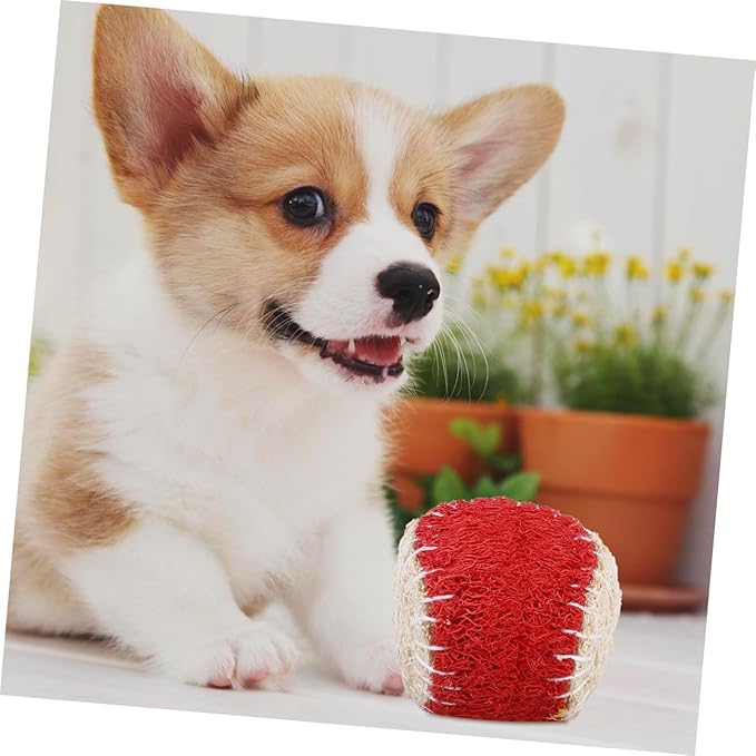 BESPORTBLE 2pcs Natural Loofah Dog Chew Tennis Ball Set for Puppy Training Interactive Pet Chew Sturdy Ball Supplies for Dogs Random Color