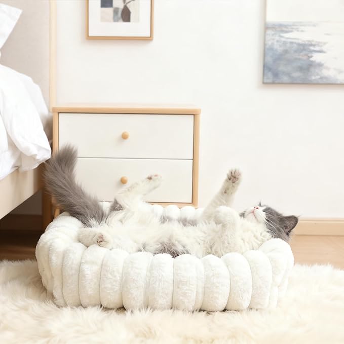 Dog Beds for Very Small Dogs & Cats - Washable Rectangle Comfy Sleeping Puppy Bed Cuddler with Anti-Slip Bottom, Soft Calming Plush Pet Sofa Bed for Indoor Kittens & Puppies, XS (18"x14"x4", Cream)