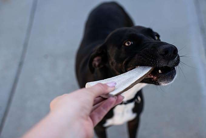 hotspot pets Premium Split Elk Antlers for Dogs - 7 Inch Large Dog Chews (2 Pack) Made in USA -Naturally Shed Antler Bone for Large Breed Chewers -Promotes Natural Dental Hygiene