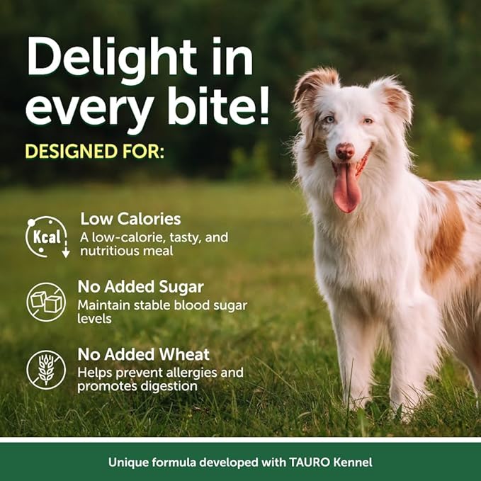 Nature's Protection Wet Dog Food Pouches for Small & Large Breed - High Protein, 24-Pack Soft Dog Food Toppers for Adult Dogs with Light Fur (Superior Care - Tuna & Salmon, 2.46-oz)