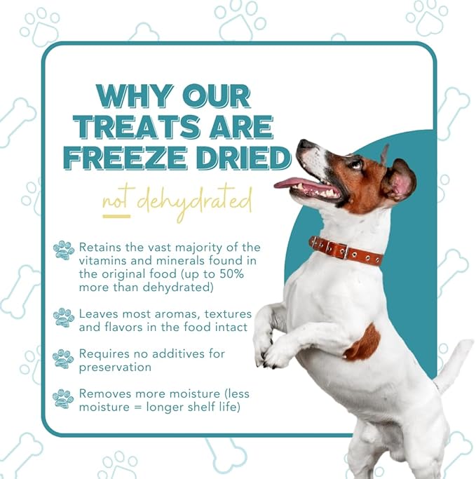 Freeze Dried Dog Treats – Beef, Single Ingredient, All-Natural, USA Sourced, Human-Grade, Grain-Free High-Protein Training Treats, 3 oz (2-Pack)