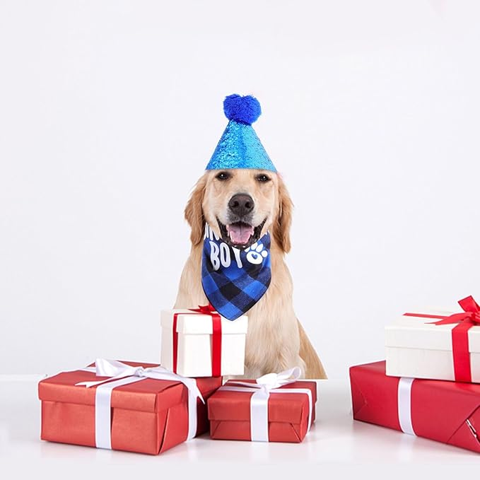 Beavorty Dog Birthday Bandana and Party Hat Set, Blue Cotton Pet Birthday Costume Accessories for Puppy Celebration and Dog Party Supplies