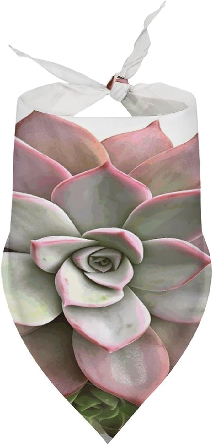 Dog Bandana Spring Pet Scarf Adjustable Triangle Succulent Botanical Printing Dog Bib Washable Polyester Puppy Bandana for Small Medium Large Dogs Cat Birthday Party Supplies