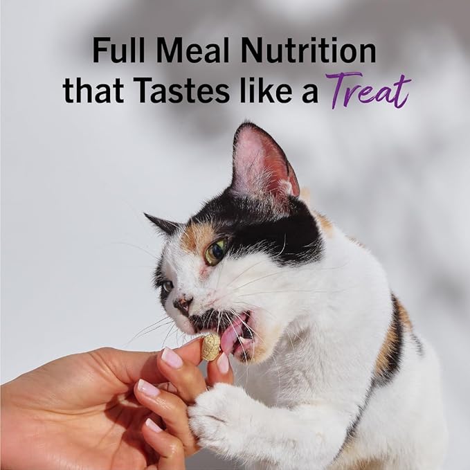 Stella & Chewy's Freeze-Dried Raw Cat Dinner Morsels - Premium Turkey Recipe with 98% Farm-Raised Meat & Organs - Natural Grain-Free Cat-& Kitten Food - Made in USA - 18 oz,(Pack of 2)