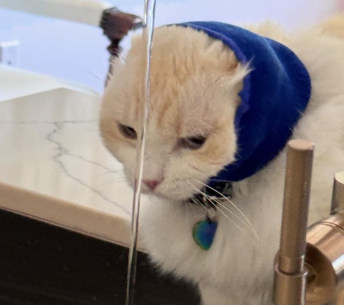 Pet Hoodz for Cats, Anxiety, Grooming, Ear Muffs, Cat Ear Protection, Calming, Ear Compression, Pet Hoodie, Cat Hoodie, Soft-Expandable Fabric for Cats, (Blue, LRG)