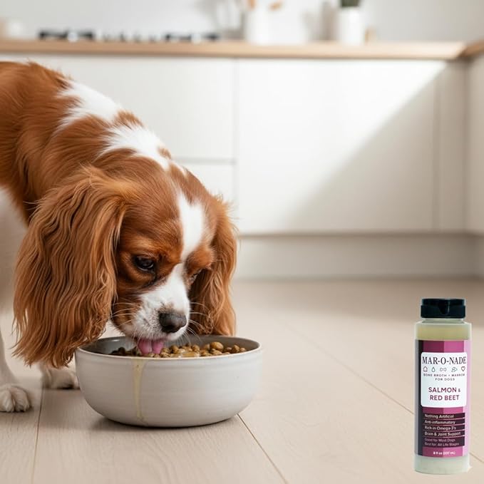 Bone Broth + Marrow Topper for Dogs - Salmon & Red Beet, 8 fl oz - Grain-Free, AAFCO-Compliant, Small-Batch Nutritional Topper