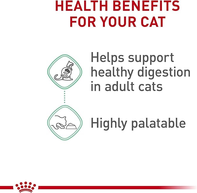 Royal Canin Feline Care Nutrition Digestive Care Adult Thin Slices in Gravy Cat Food, 3 oz (Pack of 24)