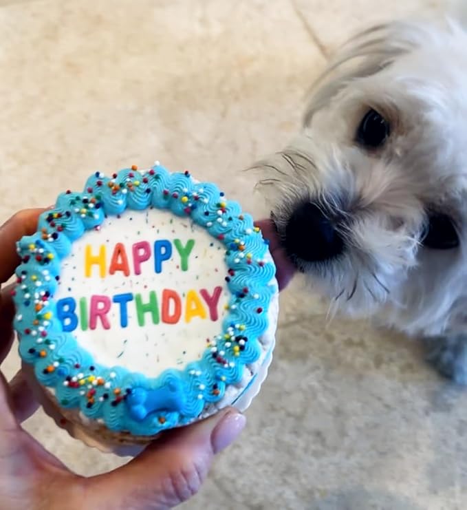 Crispy Vanilla Blue Dog Birthday Cake- Edible Puppy Party Crispy Vanilla Rice Cake- Handmade with Love- Perfect Dog Party Cake Boxed, Iced and Decorated