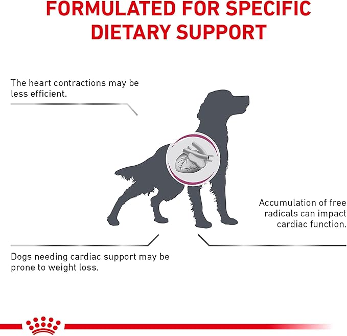Royal Canin Veterinary Diet Canine Renal Support D Adult Thin Slices in Gravy Dog Food, 13 oz (Pack of 24)