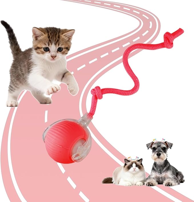 Interactive Cat Toys Ball for Indoor Cats, Interactive Rolling Small Dog Cat Toys Automatic Self Moving, 360°,Electric Balls，Fast Rolling，Smart Automatic Rolling Pet Ball (Red)