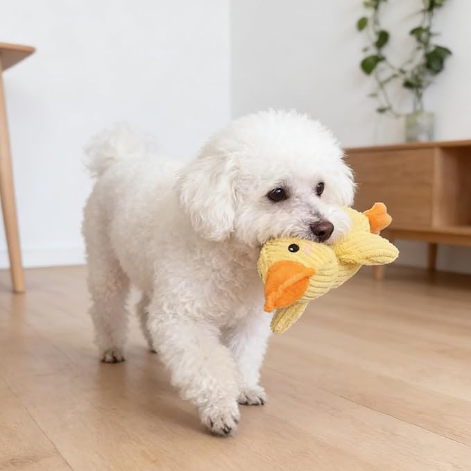 Durable Quacking Duck Dog Toy - Interactive Plush Chew Toy for Anxiety Relief & Fun Play with Cats & Dogs, Pets Only (Yellow, Medium)