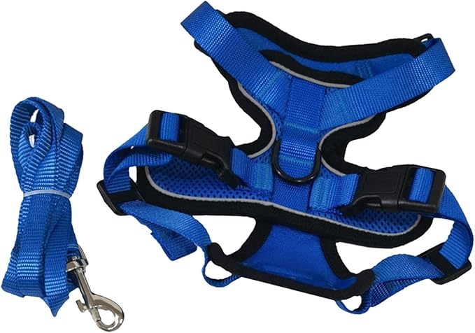 Cat Harness and Leash Set Reflective Easily Control Padded Soft Mesh Adjustable Chest Strap for Running Walking Training Pet Supplies, Blue XS