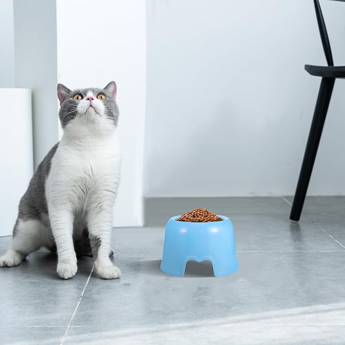 Toddmomy Dog Food Bowl Plastic Pet Feeding Bowl Travel Portable Water Dish for Dogs and Cats Blue Candy Color Sturdy Puppy Feeding Supplies
