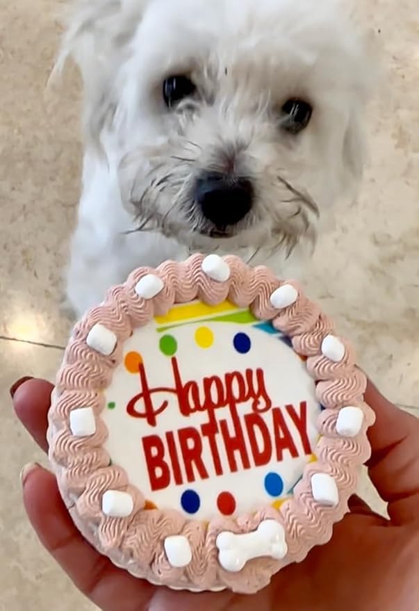 Crispy Rocky Road w/Marshmellows Dog Birthday Cake- Edible Puppy Party Crispy Vanilla Rice Cake, Yogurt Icing w/Marshmellows-Perfect Dog Party Cake Boxed, Iced and Decorated