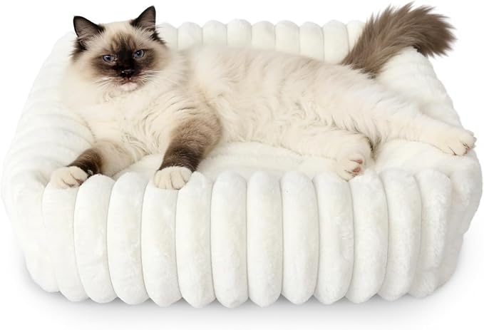 Square Cat Beds for Indoor Cats - Washable Small Dog Beds for Small Dogs, Rectangle Corduroy Fleece Pet Bed with Sides and Nonskid Bottom, Calming Fluffy Puppy Bed Soft Pet Sofa 20x19x5inchs, Cream