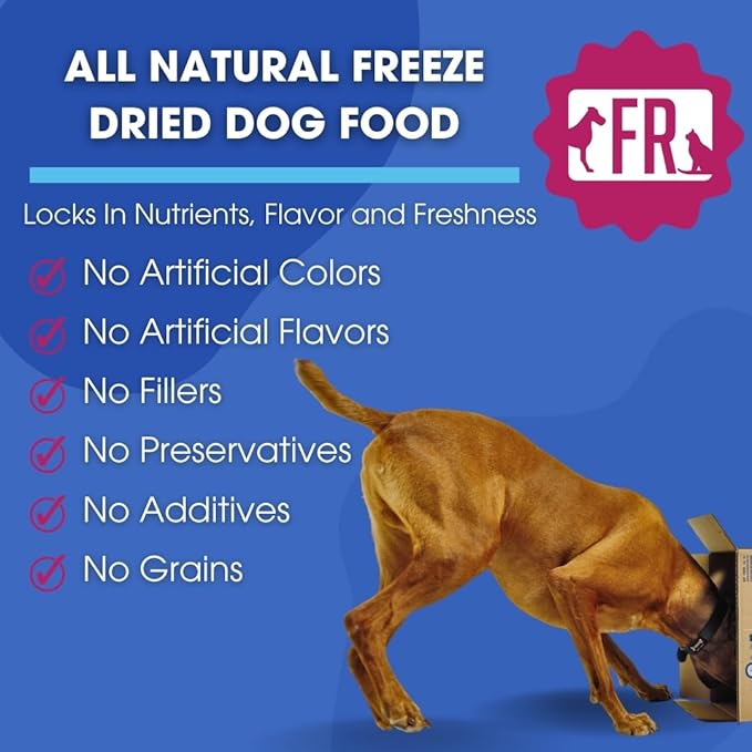 Freeze-Dried Raw Dog Food – Beef – High Protein, Grain-Free, No Fillers or Additives, Meal Mixer or Topper, Supports Healthy Digestion, Joints, and Coat – 1.55 lb
