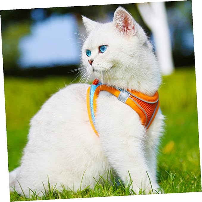BESPORTBLE Reflective Puppy Vest Leash and Dog Harness Breathable Mesh Chest Strap Medium Size for Walking Cats and Dogs Pet Supplies