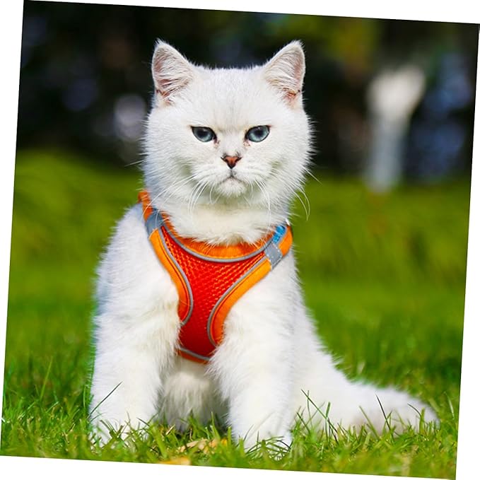 SUPVOX Pet Vest Leash with Reflective Breathable Mesh, No Pull Dog Harness and Puppy Walking Leash, Medium Size, Orange Set for Safe Outdoor Pet Supply