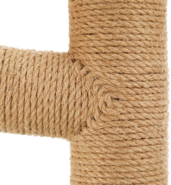 EveryYay by Petco Scratchin' The Surface Cactus Cat Scratcher, 27" H