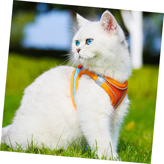 Gadpiparty Pet Vest Leash Harness for Dogs and Cats, Reflective Breathable Mesh Puppy Harness with Chest Strap, Medium Size, No Pull Dog and Cat Walking Vest for Outdoor Pet Supply