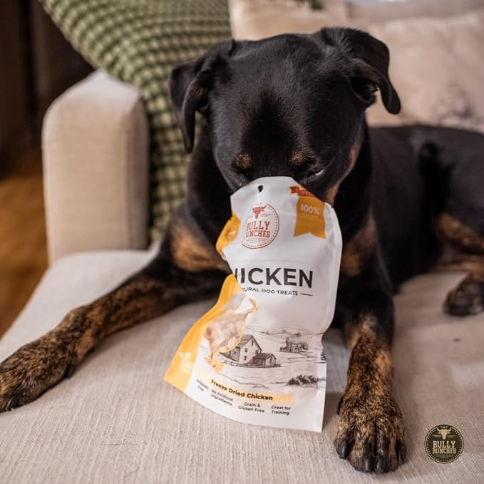 Bully Bunches Freeze Dried Chicken Dog Treats - Made in USA, Human Grade, Natural Single Ingredient, High Protein Training Treats for Dogs, All Breeds Pet Treat, Grain Free - 3.53 oz