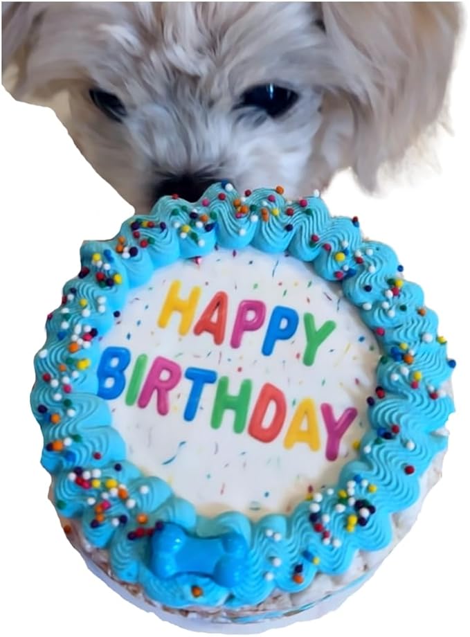 Crispy Vanilla Blue Dog Birthday Cake- Edible Puppy Party Crispy Vanilla Rice Cake- Handmade with Love- Perfect Dog Party Cake Boxed, Iced and Decorated