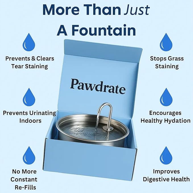 Pawdrate Dog Water Fountain, 3.2L/108oz Filtered Dog Water Bowl Dispenser, Wired Automatic Circulating Quiet No Spill Water Bowl with Quadruple Filtration for Small Dogs & Cats (2 Filters, 3.2L)