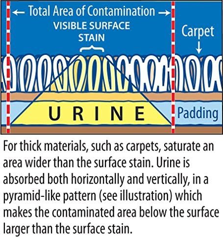 Instantly Pet Urine Odor Remover - Cleaner, Neutralizer, & Eliminator of Cat & Dog Pee Odor on Carpets, Rugs, Outdoor Rugs, Mattress, Floor, Etc. 32 oz. (1 Quart)