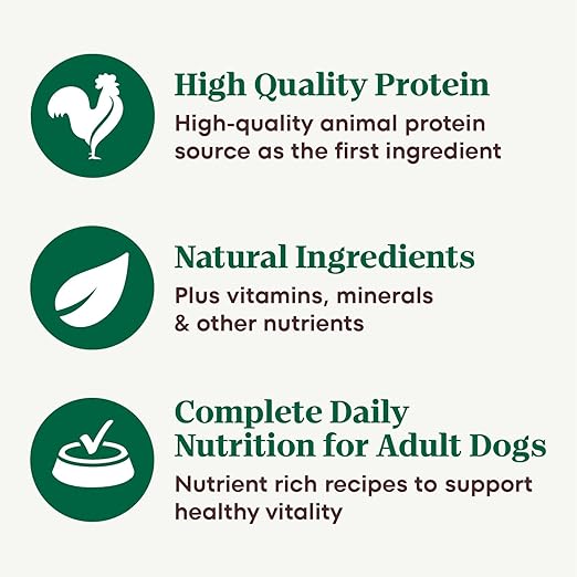 Nutro Adult Wet Dog Food, Natural Grain Free Dog Food Wet Cuts in Gravy Simmered Beef & Potato Stew Recipe, 3.5 oz. Tray