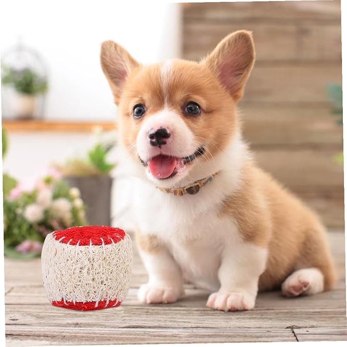 Dog Chew Tennis Ball 2pcs Natural Loofah Interactive Puppy Chewing Training Supplies Sturdy Pet Ball for Dogs Random Color