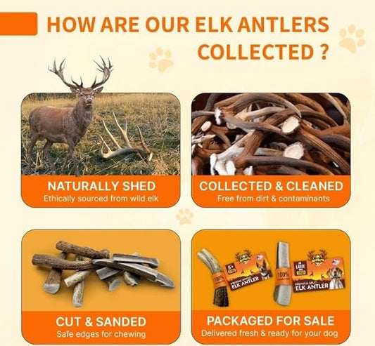 Tibetan Elk Antler for Large Dogs, Grade-A, Premium Antler Chews, Naturally shed Healthy & Longer Lasting Aggressive chewers, USA Product (Split)