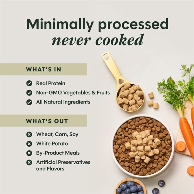 Instinct RawBoost Mixers, Freeze Dried Dog Food Topper, Grain-Free Recipe - All Natural Beef, 6 oz. Bag