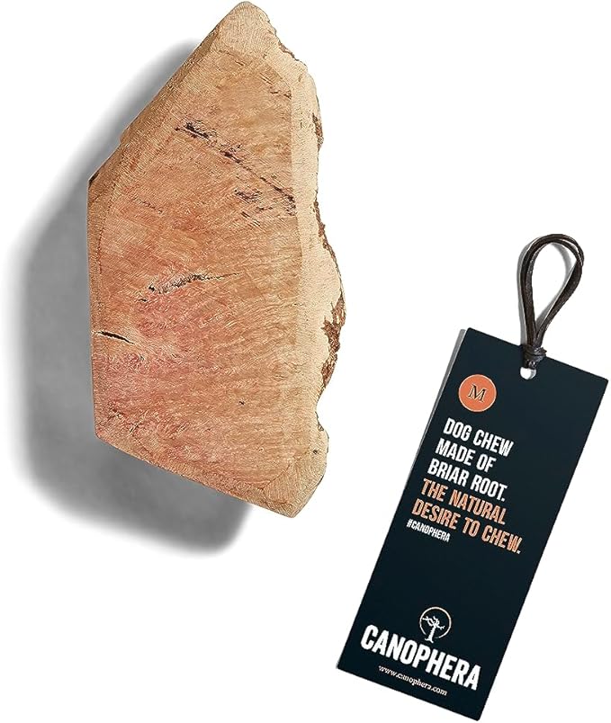 Canophera - Dog Chew Root Made of Briar Wood (Medium)