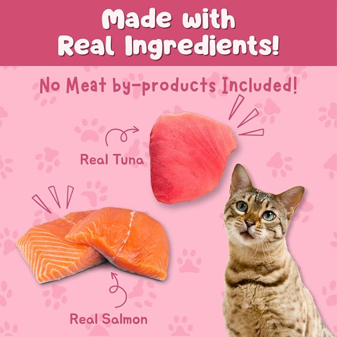 Queen's Cat & NUTRI PLAN Wet Cat Food Gourmet Tuna & Salmon Meat Recipe 5.64 oz Cans, High Protein Taurine Rich, No Added Preservatives or Seasonings, Complete Balanced Nutrition, Pack of 24