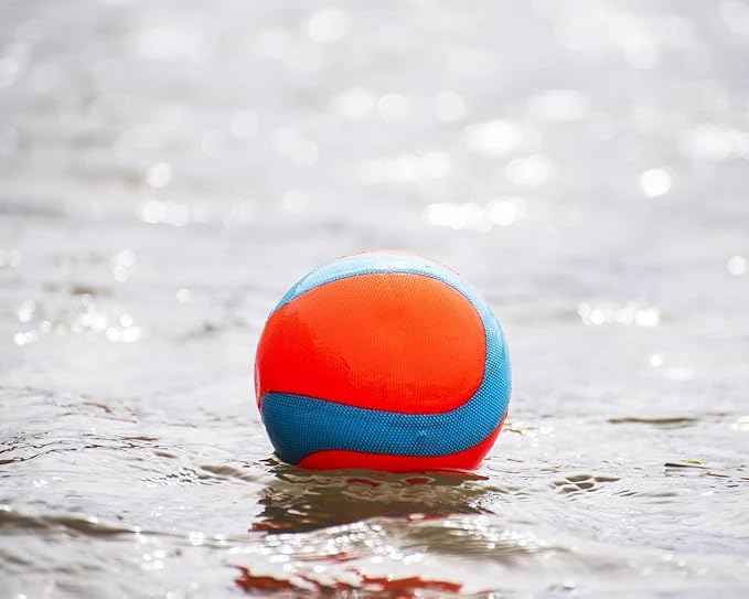 Chuckit! Amphibious Mega Ball or Roller That Floats for Medium and Large Dogs