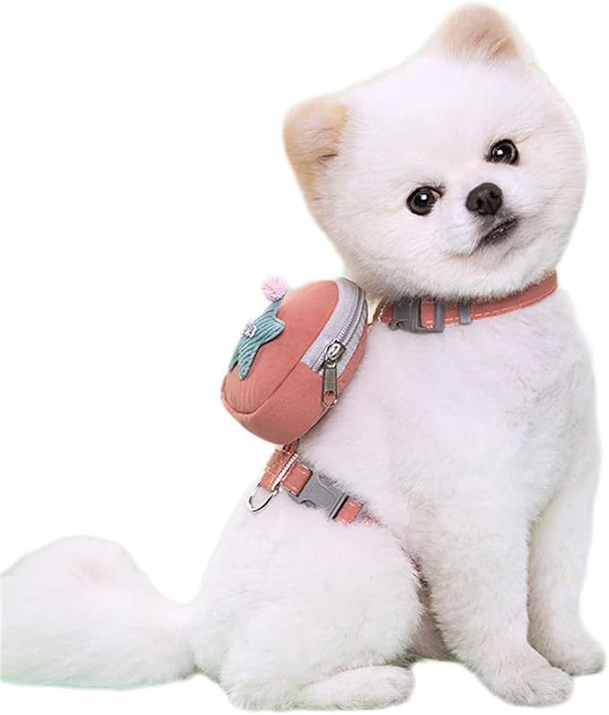 Dog Training Backpack Cute Saddles Bag and Leash for Traveling Travel Camping Camping Dog Saddles Bag Supplies Pet Backpack for Supplies