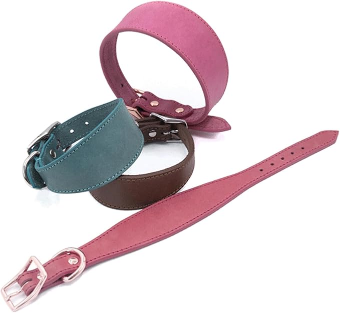 Leathers Collar for Salukis Sighthounds Breeds Adjustable Dogs Pet Supply Whippets Lurcher Sighthounds
