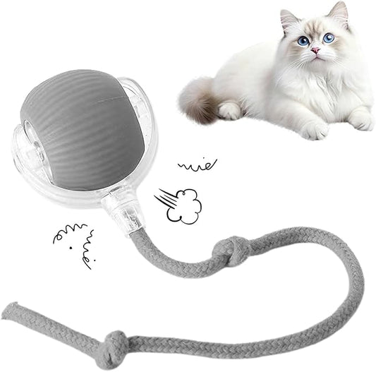 Cat Toy, 360° Automatic Rolling Smart Pet Ball Toys, Motion-Activated, Rechargeable, Four Modes, Three Speed Adjustment, Solve Your Cat's Boredom in Seconds (Grey)