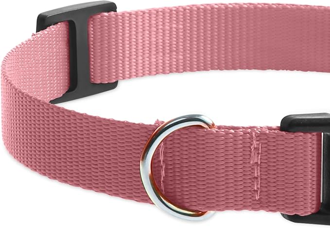Modern Stylish Ecollar Replacement Strap, Nylon 3/4" Replacement Collar for Shock Collar with Quick Release Buckle, Soft Shock Collar Replacement Strap for Small Medium Large Dogs (Pink & Yellow)