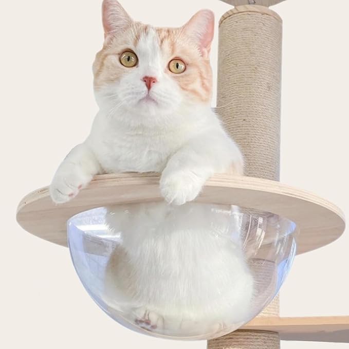 Transparent Space Capsule Dome Cat Bed for Floot to Ceiling Cat Tree Parts, Dia 11.8 Inches