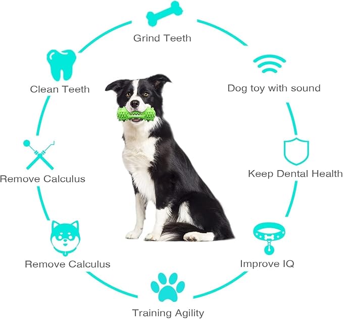 Dog Toy, Toothbrush Dogs Chew Squeaky Toys, Durable Bones for Aggressive Chewers, Dental Oral Care for Small, Medium and Large Dogs - Green