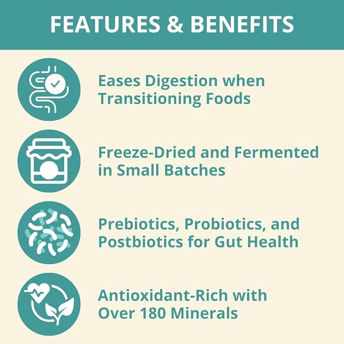 Steve's Real Food Protein Bites Gut Health Treats - Freeze-Dried Pet Treats for Cats and Dogs - Lamb Recipe - 4 oz