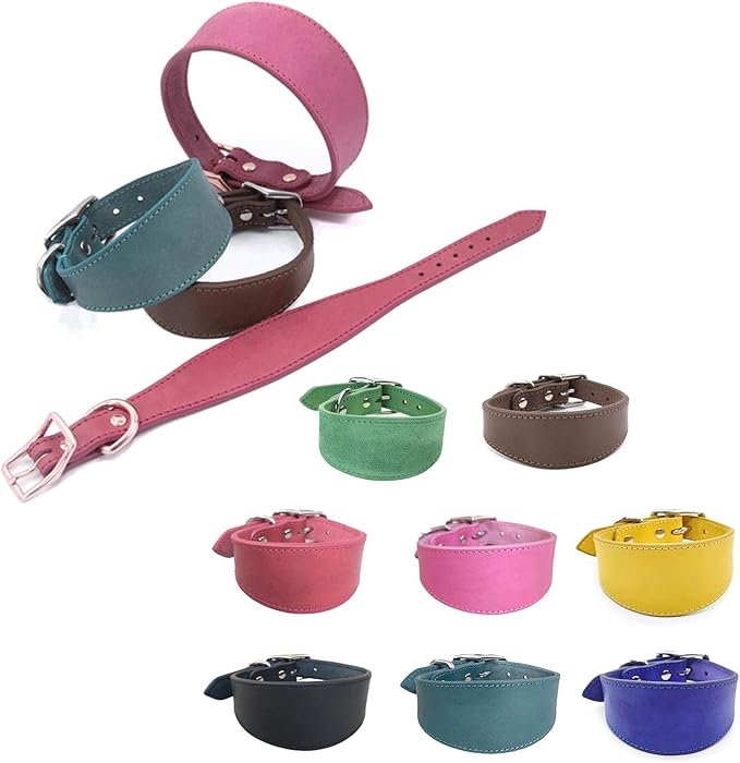Fashion Dogs Collar for Salukis Sighthounds Wide Padded Pet Accessories Dogs Supplies Supplies Accessories
