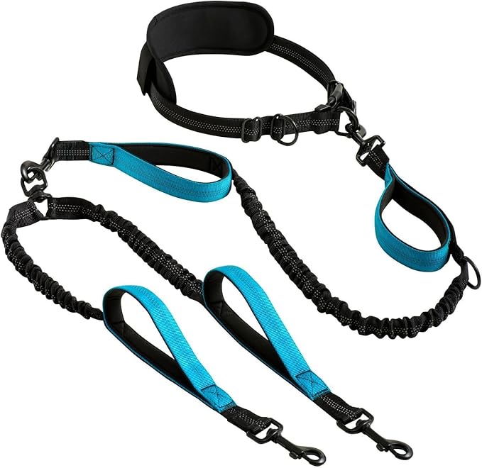 Dog Leash Retractable Running Fitness One-to-Two Leash, 360° Rotating Stainless Steel Buckle, Pet Supplies
